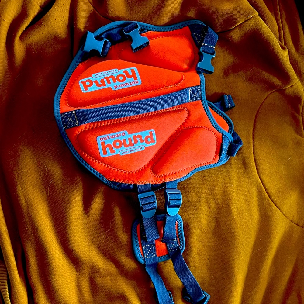 Dog safety life vest